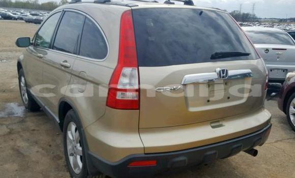 Buy Used Honda CR–V Beige Car in Lagos in Lagos State Buy Used Honda CR–V Beige Car in Lagos in Lagos State