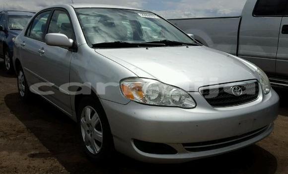 Acheter Occasion Voiture Toyota Corolla Beige à Lagos, État de Lagos Acheter Occasion Voiture Toyota Corolla Beige à Lagos, État de Lagos