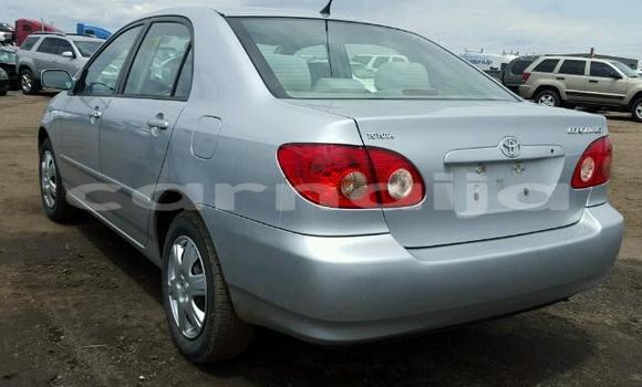 Acheter Occasion Voiture Toyota Corolla Beige à Lagos, État de Lagos Acheter Occasion Voiture Toyota Corolla Beige à Lagos, État de Lagos
