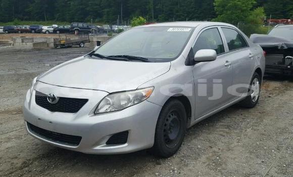 Buy Used Toyota Corolla Beige Car in Lagos in Lagos State