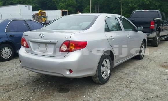 Acheter Occasion Voiture Toyota Corolla Beige à Lagos, État de Lagos Acheter Occasion Voiture Toyota Corolla Beige à Lagos, État de Lagos