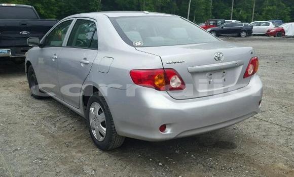 Acheter Occasion Voiture Toyota Corolla Beige à Lagos, État de Lagos Acheter Occasion Voiture Toyota Corolla Beige à Lagos, État de Lagos
