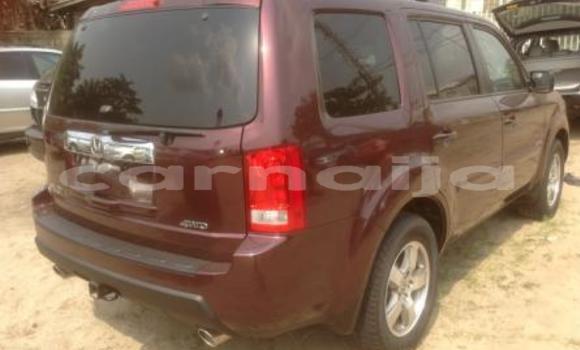 Acheter Import Voiture Honda Pilot Marron à Lagos, État de Lagos