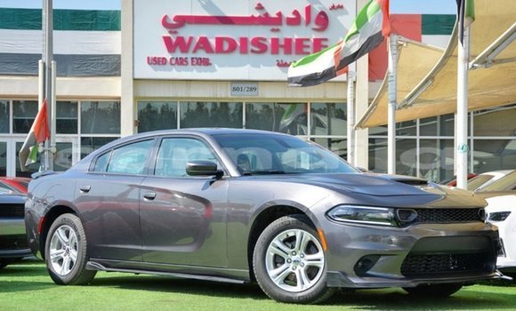 Acheter Import Voiture Dodge Charger Autre à Import - Dubai, État d'Abia