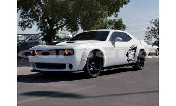 Acheter Import Voiture Dodge Challenger Blanc à Import - Dubai, État d'Abia Acheter Import Voiture Dodge Challenger Blanc à Import - Dubai, État d'Abia