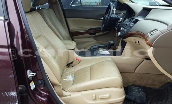 Acheter Occasion Voiture Honda Accord Beige à Lagos, État de Lagos Acheter Occasion Voiture Honda Accord Beige à Lagos, État de Lagos