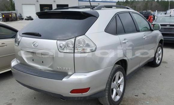 Acheter Import Voiture Lexus RX 330 Autre à Ipokia, État d'Ogun