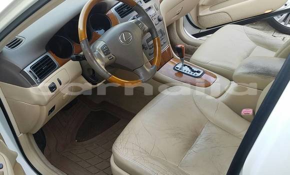 Buy Import Lexus ES 300 White Car in Ipokia in Ogun State Buy Import Lexus ES 300 White Car in Ipokia in Ogun State