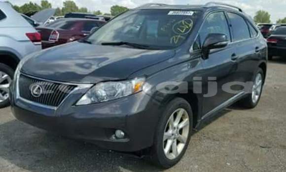 Buy Import Lexus RX Black Car in Daura in Katsina Buy Import Lexus RX Black Car in Daura in Katsina