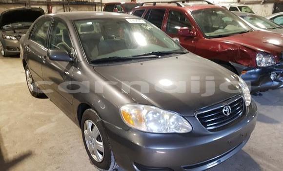 Buy Used Toyota Corolla Beige Car in Lagos in Lagos State Buy Used Toyota Corolla Beige Car in Lagos in Lagos State