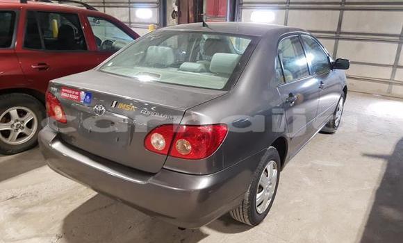 Buy Used Toyota Corolla Beige Car in Lagos in Lagos State Buy Used Toyota Corolla Beige Car in Lagos in Lagos State