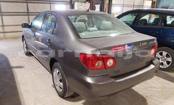 Buy Used Toyota Corolla Beige Car in Lagos in Lagos State Buy Used Toyota Corolla Beige Car in Lagos in Lagos State