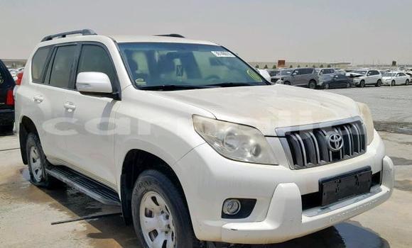 Buy Used Toyota Land Cruiser Prado White Car in Lagos in Lagos State Buy Used Toyota Land Cruiser Prado White Car in Lagos in Lagos State