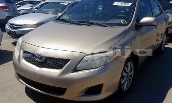 Buy Used Toyota Corolla Beige Car in Lagos in Lagos State