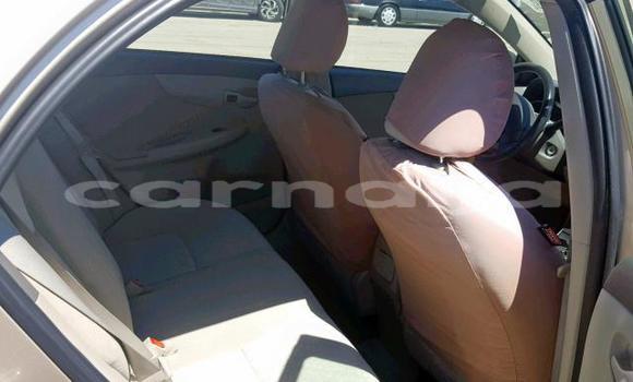 Acheter Occasion Voiture Toyota Corolla Beige à Lagos, État de Lagos Acheter Occasion Voiture Toyota Corolla Beige à Lagos, État de Lagos