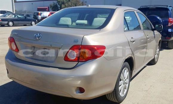 Acheter Occasion Voiture Toyota Corolla Beige à Lagos, État de Lagos Acheter Occasion Voiture Toyota Corolla Beige à Lagos, État de Lagos