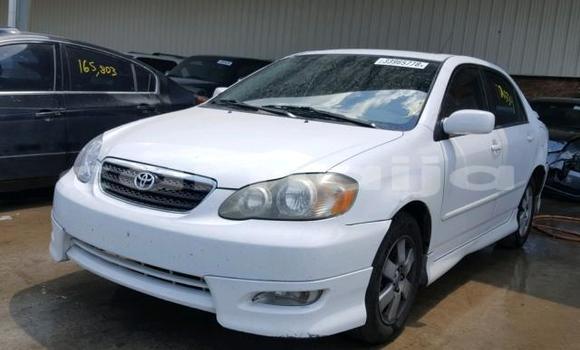 Buy Used Toyota Corolla White Car in Lagos in Lagos State