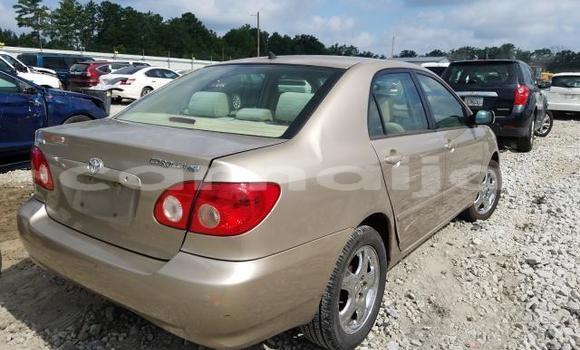 Acheter Occasion Voiture Toyota Corolla Beige à Lagos, État de Lagos Acheter Occasion Voiture Toyota Corolla Beige à Lagos, État de Lagos