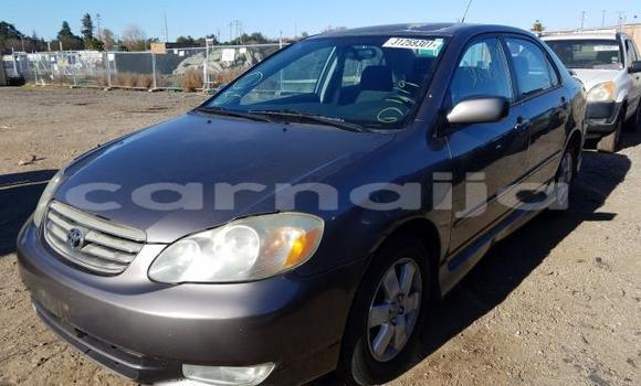 Buy Used Toyota Corolla Silver Car in Abuja in Lagos State