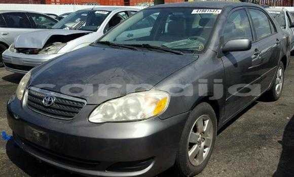Buy Used Toyota Corolla Brown Car in Abuja in Lagos State
