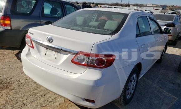 Buy Used Toyota Corolla Other Car in Lagos in Lagos State