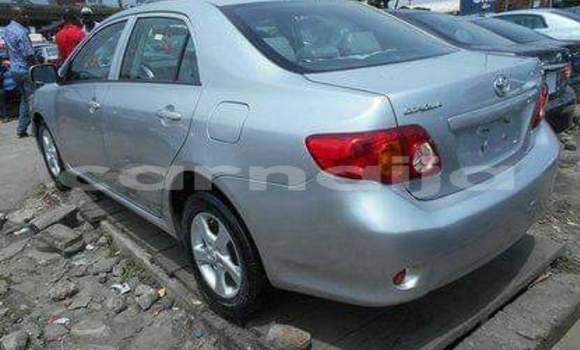 Buy Import Toyota Corolla Silver Car in Daura in Katsina Buy Import Toyota Corolla Silver Car in Daura in Katsina