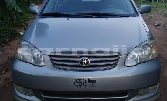 Buy Used Toyota Corolla Blue Car in Aba in Abia State