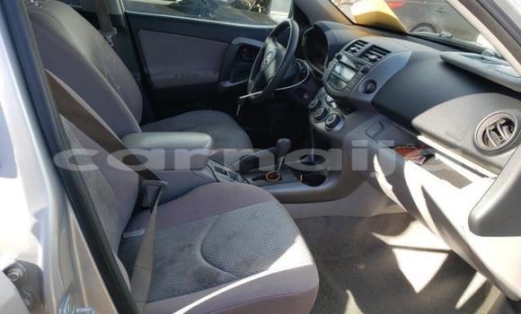 Buy Import Toyota RAV4 Silver Car in Daura in Katsina Buy Import Toyota RAV4 Silver Car in Daura in Katsina