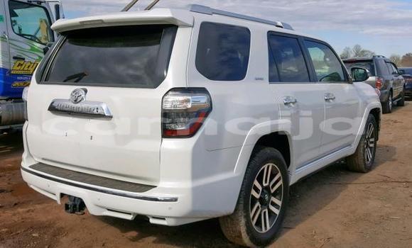 Acheter Import Voiture Toyota 4Runner Blanc à Daura, Katsina Acheter Import Voiture Toyota 4Runner Blanc à Daura, Katsina