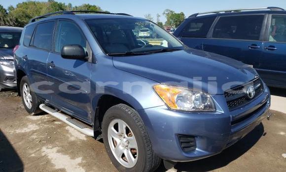 Acheter Import Voiture Toyota RAV4 Bleu à Daura, Katsina