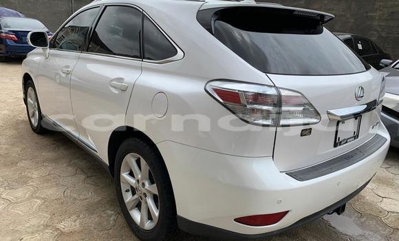 Acheter Import Voiture Lexus RX 350 Blanc à Ipokia, État d'Ogun Acheter Import Voiture Lexus RX 350 Blanc à Ipokia, État d'Ogun