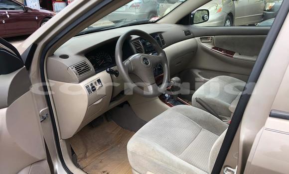 Acheter Import Voiture Toyota Corolla Autre à Ipokia, État d'Ogun Acheter Import Voiture Toyota Corolla Autre à Ipokia, État d'Ogun