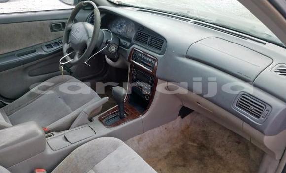 Buy New Nissan Altima Silver Car in Badagry in Lagos State Buy New Nissan Altima Silver Car in Badagry in Lagos State