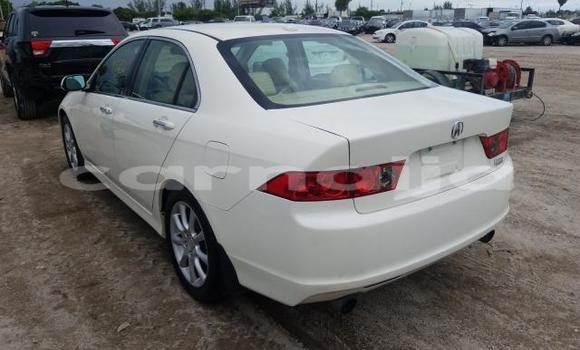 Acheter Neuf Voiture Acura TSX Blanc à Badagry, État de Lagos Acheter Neuf Voiture Acura TSX Blanc à Badagry, État de Lagos