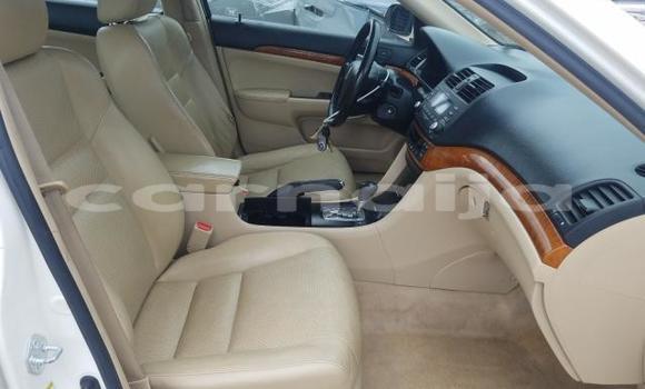 Acheter Neuf Voiture Acura TSX Blanc à Badagry, État de Lagos Acheter Neuf Voiture Acura TSX Blanc à Badagry, État de Lagos