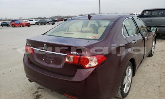 Buy Used Acura TSX Red Car in Badagry in Lagos State Buy Used Acura TSX Red Car in Badagry in Lagos State