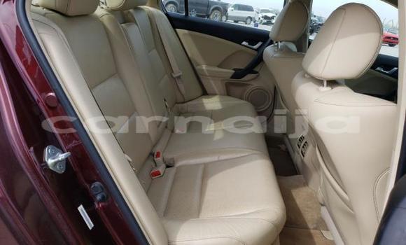 Buy Used Acura TSX Red Car in Badagry in Lagos State Buy Used Acura TSX Red Car in Badagry in Lagos State