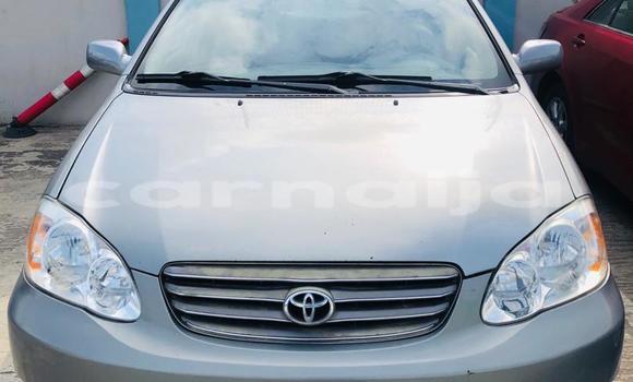 Buy New Toyota Corolla Silver Car in Lagos in Lagos State