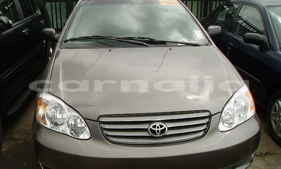 Buy New Toyota Corolla Silver Car in Lagos in Lagos State