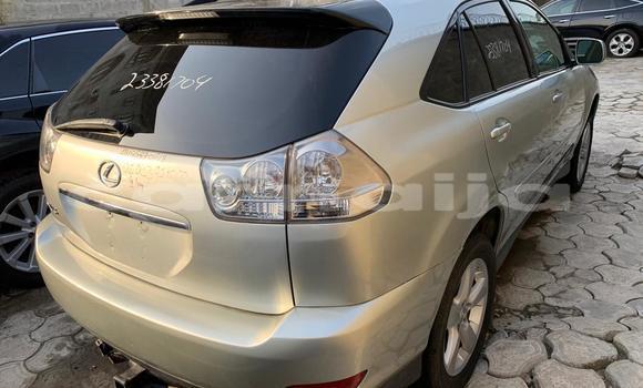 Acheter Import Voiture Lexus RX 350 Gris à Ipokia, État d'Ogun Acheter Import Voiture Lexus RX 350 Gris à Ipokia, État d'Ogun
