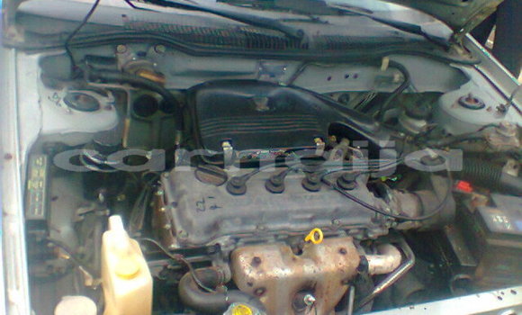 Acheter Import Voiture Nissan Primera Autre à Ankpa, État de Kogi Acheter Import Voiture Nissan Primera Autre à Ankpa, État de Kogi