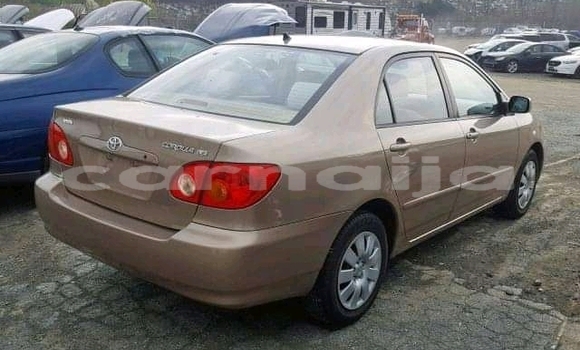 Buy New Toyota Corolla Silver Car in Lagos in Lagos State