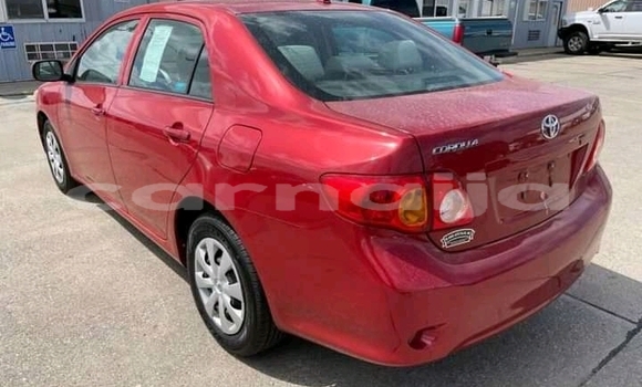 Acheter Neuf Voiture Toyota Corolla Rouge à Lagos, État de Lagos Acheter Neuf Voiture Toyota Corolla Rouge à Lagos, État de Lagos