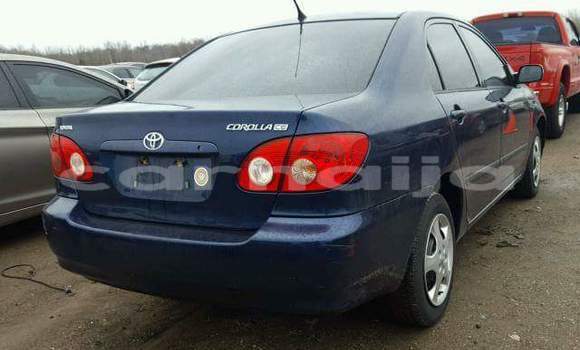 Buy Used Toyota Corolla Blue Car in Lagos in Lagos State Buy Used Toyota Corolla Blue Car in Lagos in Lagos State