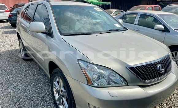 Acheter Import Voiture Lexus RX 350 Gris à Ipokia, État d'Ogun Acheter Import Voiture Lexus RX 350 Gris à Ipokia, État d'Ogun