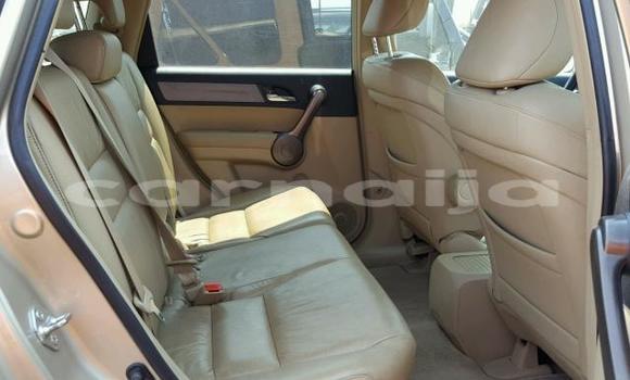 Acheter Occasion Voiture Honda CR–V Gris à Lagos, État de Lagos Acheter Occasion Voiture Honda CR–V Gris à Lagos, État de Lagos