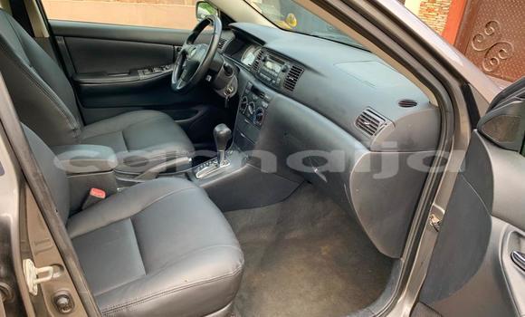 Acheter Occasion Voiture Toyota Corolla Gris à Lagos, État de Lagos Acheter Occasion Voiture Toyota Corolla Gris à Lagos, État de Lagos