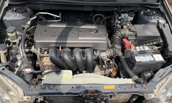 Acheter Occasion Voiture Toyota Corolla Gris à Lagos, État de Lagos Acheter Occasion Voiture Toyota Corolla Gris à Lagos, État de Lagos