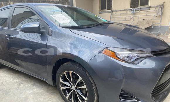 Buy Used Toyota Corolla Silver Car in Lagos in Lagos State Buy Used Toyota Corolla Silver Car in Lagos in Lagos State