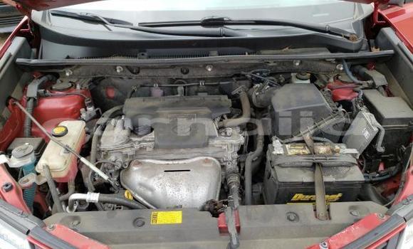 Buy Import Toyota RAV4 Red Car in Daura in Katsina Buy Import Toyota RAV4 Red Car in Daura in Katsina